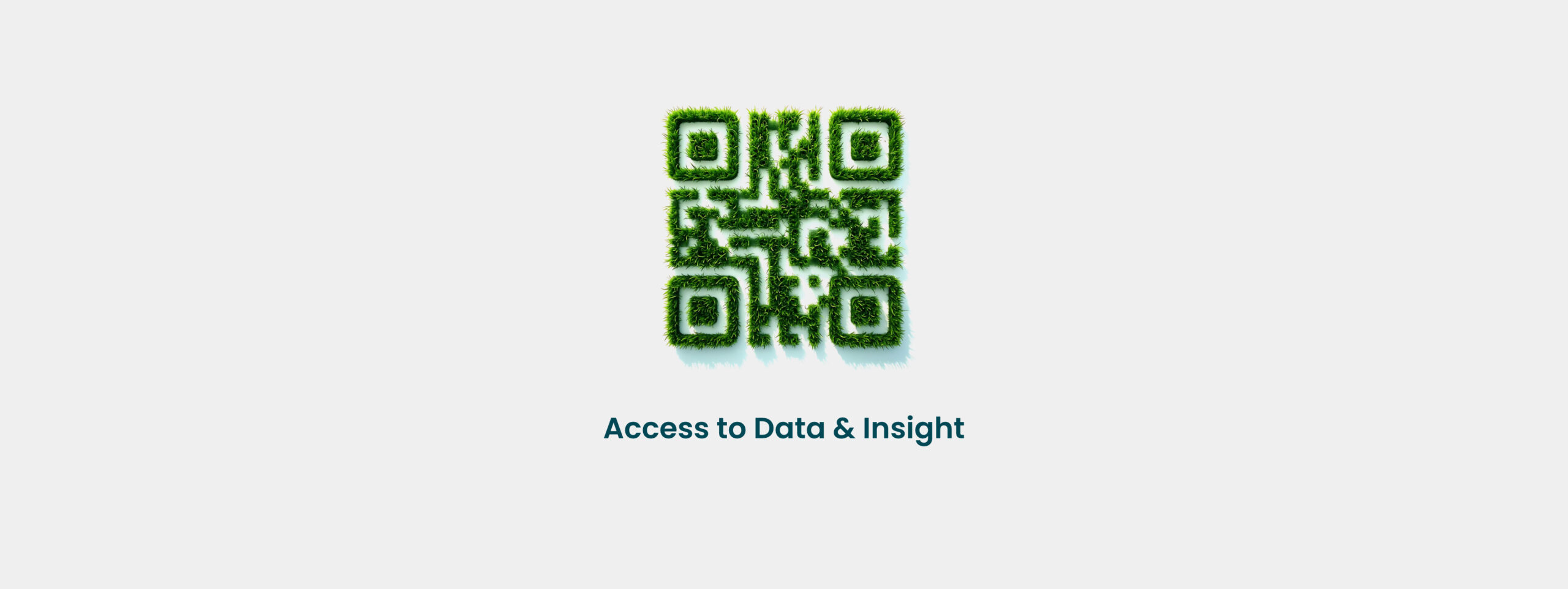 AccesstoData&Insight