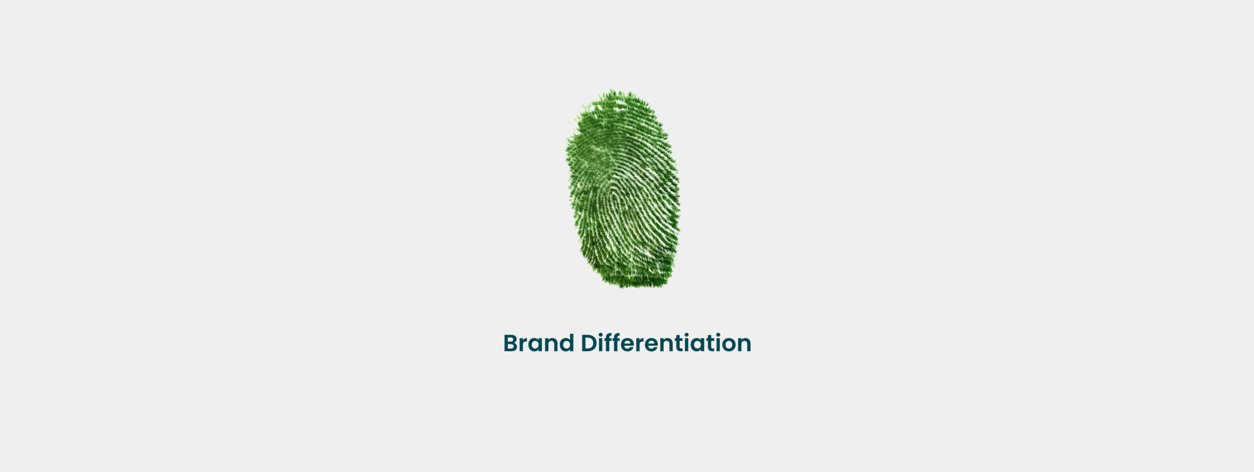 BrandDifferentiation