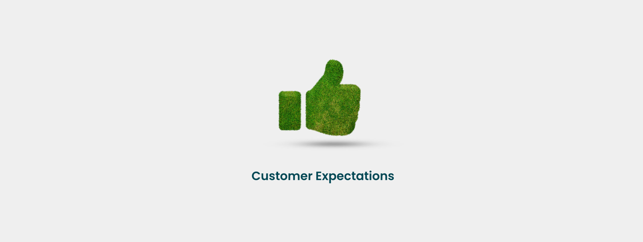CustomerExpectations