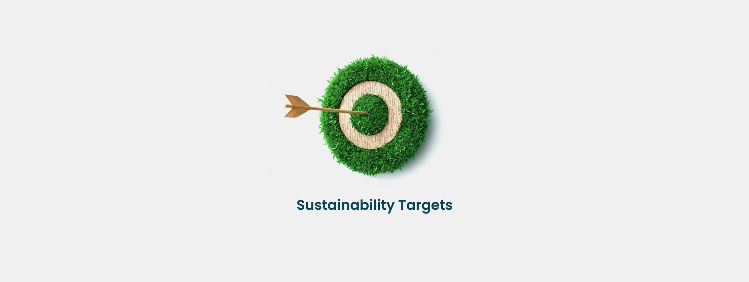 SustainabilityTargets